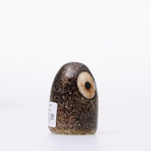 Birds Little Barn Owl ブラウン 0412