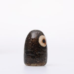 Birds Little Barn Owl ブラウン 0421