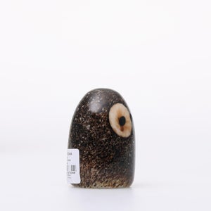 Birds Little Barn Owl ブラウン 0422
