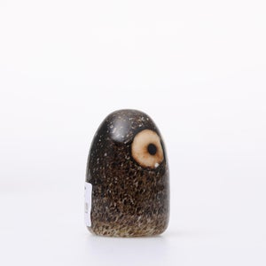 Birds Little Barn Owl ブラウン 0423