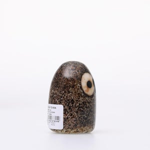 Birds Little Barn Owl ブラウン 0424