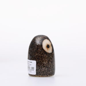 Birds Little Barn Owl ブラウン 0425