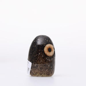 Birds Little Barn Owl ブラウン 0427