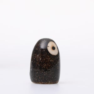 Birds Little Barn Owl ブラウン 0428
