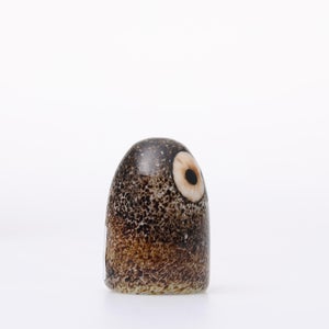 Birds Little Barn Owl ブラウン 0433