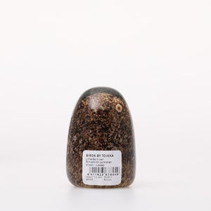 Birds Little Barn Owl ブラウン 0233