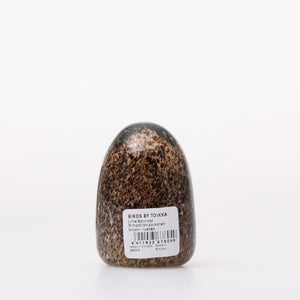 Birds Little Barn Owl ブラウン 0241