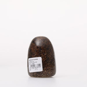 Birds Little Barn Owl ブラウン 0245