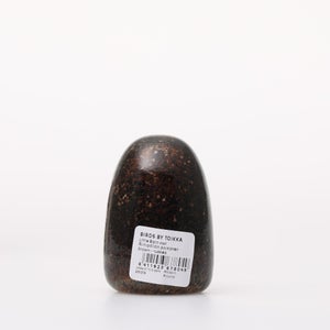 Birds Little Barn Owl ブラウン 0251