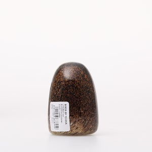 Birds Little Barn Owl ブラウン 0252