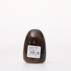 Birds Little Barn Owl ブラウン 0257