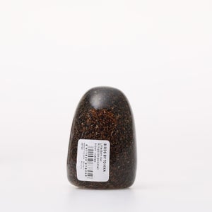 Birds Little Barn Owl ブラウン 0258