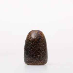 Birds Little Barn Owl ブラウン 0295