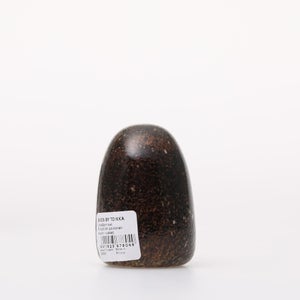 Birds Little Barn Owl ブラウン 0299