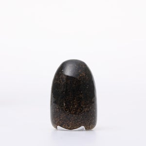 Birds Little Barn Owl ブラウン 0376