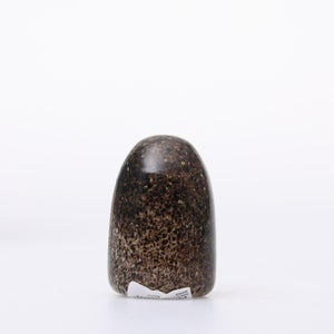 Birds Little Barn Owl ブラウン 0383