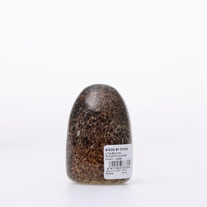 Birds Little Barn Owl ブラウン 0424