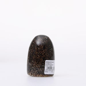 Birds Little Barn Owl ブラウン 0425