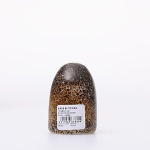 Birds Little Barn Owl ブラウン 0433