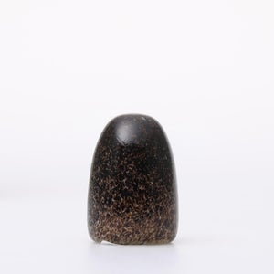 Birds Little Barn Owl ブラウン 0437