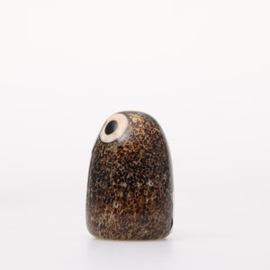 Birds Little Barn Owl ブラウン 0233