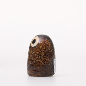 Birds Little Barn Owl ブラウン 0238