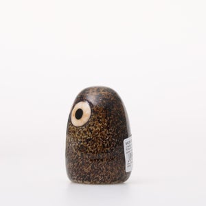 Birds Little Barn Owl ブラウン 0245