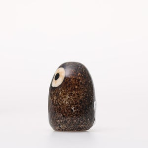 Birds Little Barn Owl ブラウン 0255