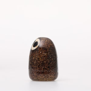 Birds Little Barn Owl ブラウン 0257