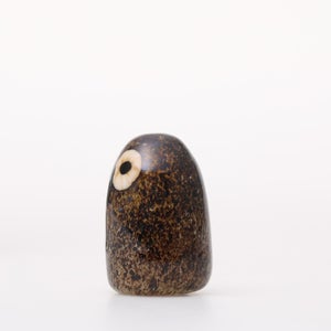 Birds Little Barn Owl ブラウン 0301