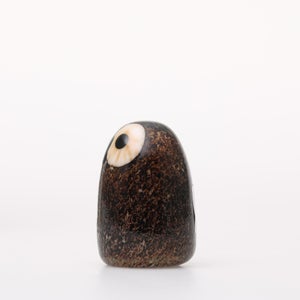 Birds Little Barn Owl ブラウン 0307