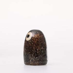 Birds Little Barn Owl ブラウン 0310