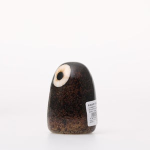 Birds Little Barn Owl ブラウン 0313