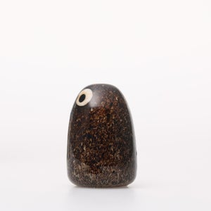 Birds Little Barn Owl ブラウン 0314