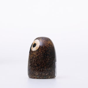 Birds Little Barn Owl ブラウン 0379