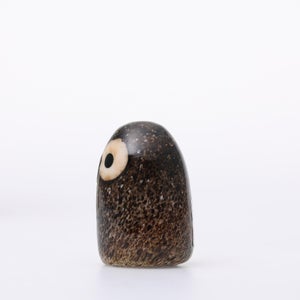 Birds Little Barn Owl ブラウン 0384