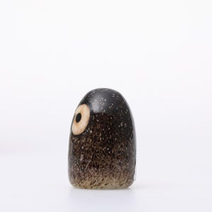 Birds Little Barn Owl ブラウン 0394