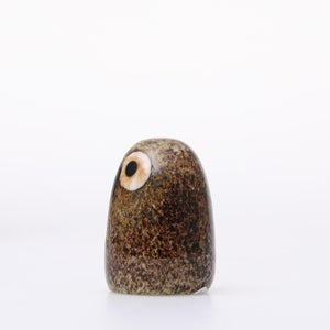 Birds Little Barn Owl ブラウン 0398