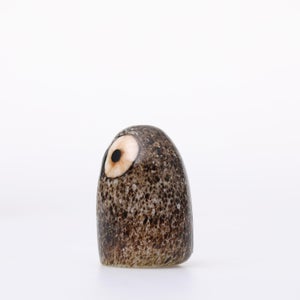 Birds Little Barn Owl ブラウン 0405