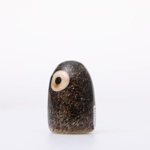 Birds Little Barn Owl ブラウン 0407
