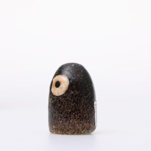 Birds Little Barn Owl ブラウン 0410