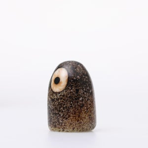 Birds Little Barn Owl ブラウン 0412