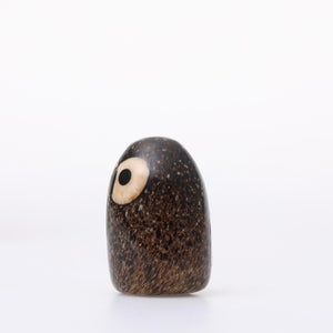 Birds Little Barn Owl ブラウン 0413