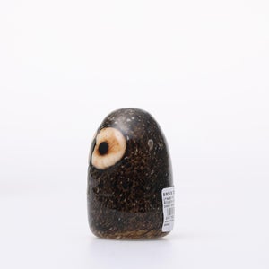 Birds Little Barn Owl ブラウン 0421