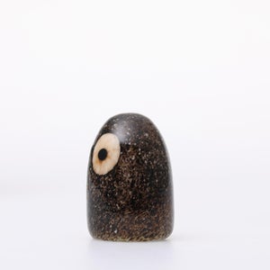 Birds Little Barn Owl ブラウン 0422