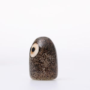Birds Little Barn Owl ブラウン 0424