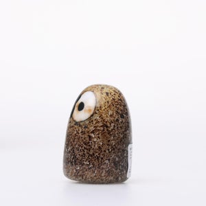 Birds Little Barn Owl ブラウン 0438