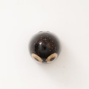 Birds Little Barn Owl ブラウン 0234