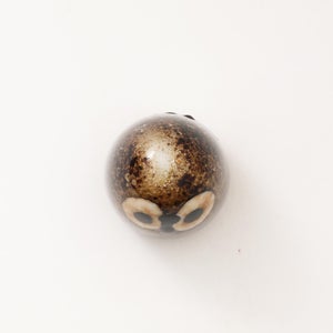 Birds Little Barn Owl ブラウン 0237