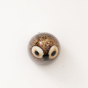 Birds Little Barn Owl ブラウン 0241